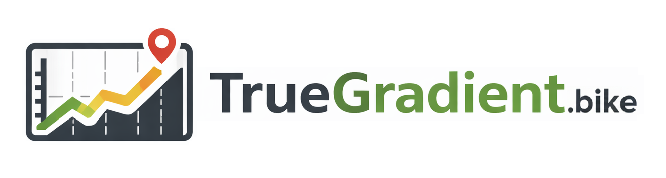 True Gradient Logo